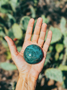 Mushies - Ocean Jasper Palm Stone