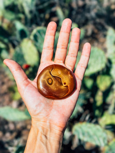 Fall Snail - Polychrome Jasper Palm Stone