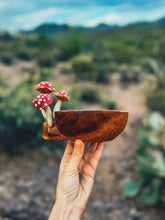 Load image into Gallery viewer, Hand Painted Wooden Mushroom Bowl 🍄