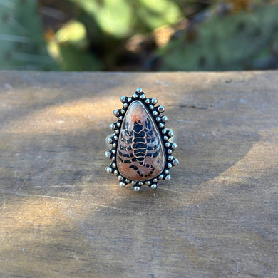 Scorpion Adjustable Ring - sunstone